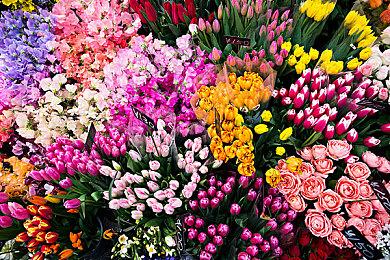 《失忆症：地堡》最新演示片段发布